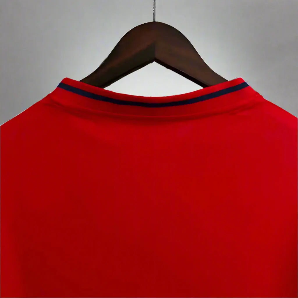 SPAIN Retro Home Jersey 2010 image 4