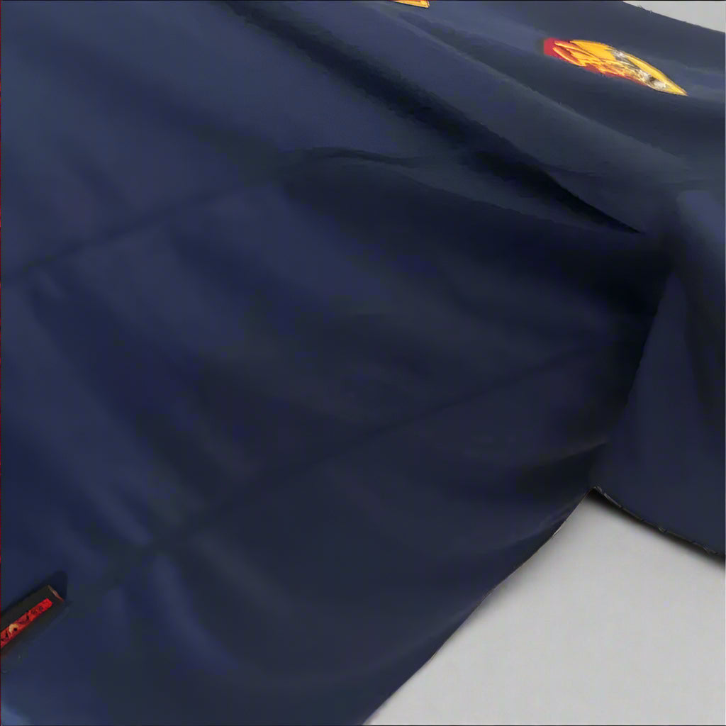 AS ROMA RETRO JERSEY 2000-01 image 4